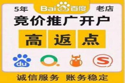 某旅游网站SEM优化案例：如何吸引目标用户